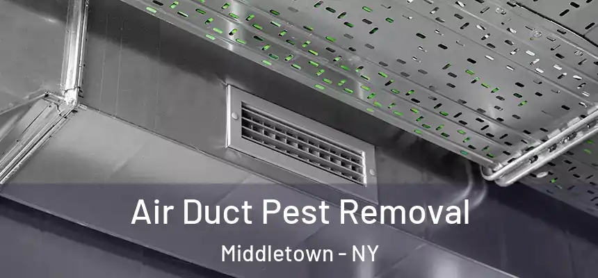 Air Duct Pest Removal Middletown - NY