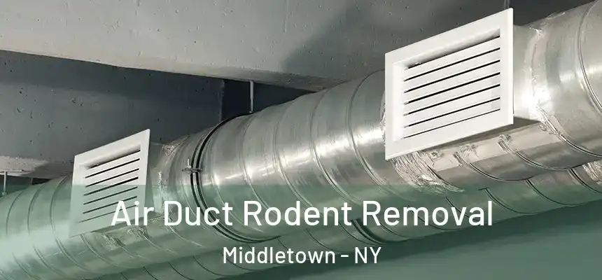  Air Duct Rodent Removal Middletown - NY