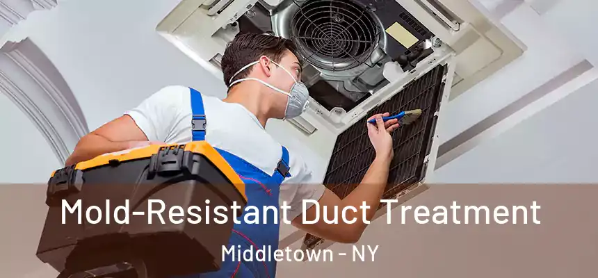  Mold-Resistant Duct Treatment Middletown - NY