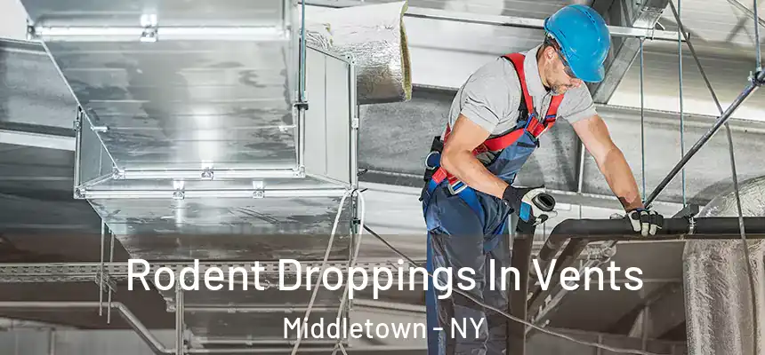Rodent Droppings In Vents Middletown - NY