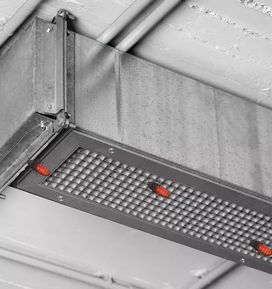 About Air Duct Cockroach Removal in Middletown, NY