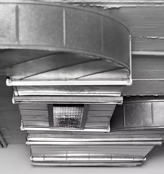 Professional Air Duct Pest Removal in Middletown, NY